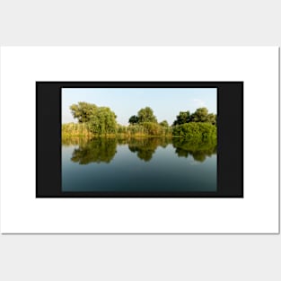 Landscape with waterline, reeds and vegetation, water reflections, in Danube Delta, Romania Posters and Art